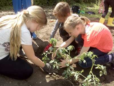 2019 Neues aus dem Schulgarten