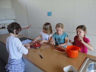 Erdbeere 2