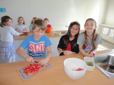 2014 Erdbeerprojekt