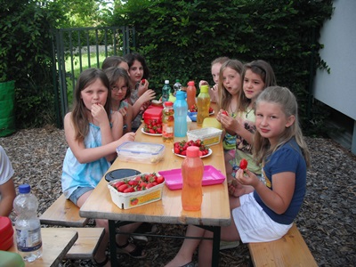 Erdbeeren im Garten 3