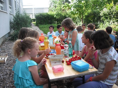 Erdbeeren im Garten 4