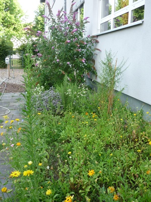 Sommer 2