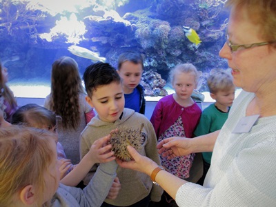 2017 Naturkundemuseum