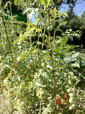 2019 Gartenarbeit 03