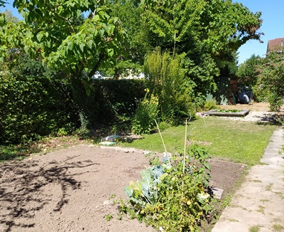 Schulagarten 01 Juli 2020 HP 7