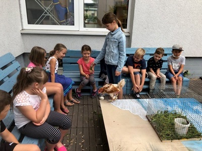 Tierischer Besuch
