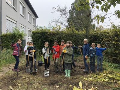 Kartoffelprojekt der Klassen 4