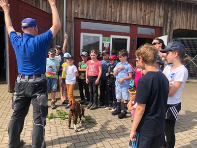Bild2