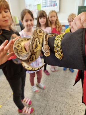 Zirkus Besuch